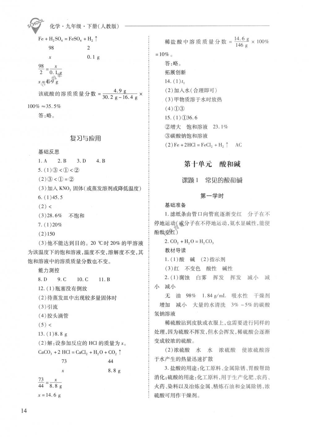 2018年新课程问题解决导学方案九年级化学下册人教版 第14页