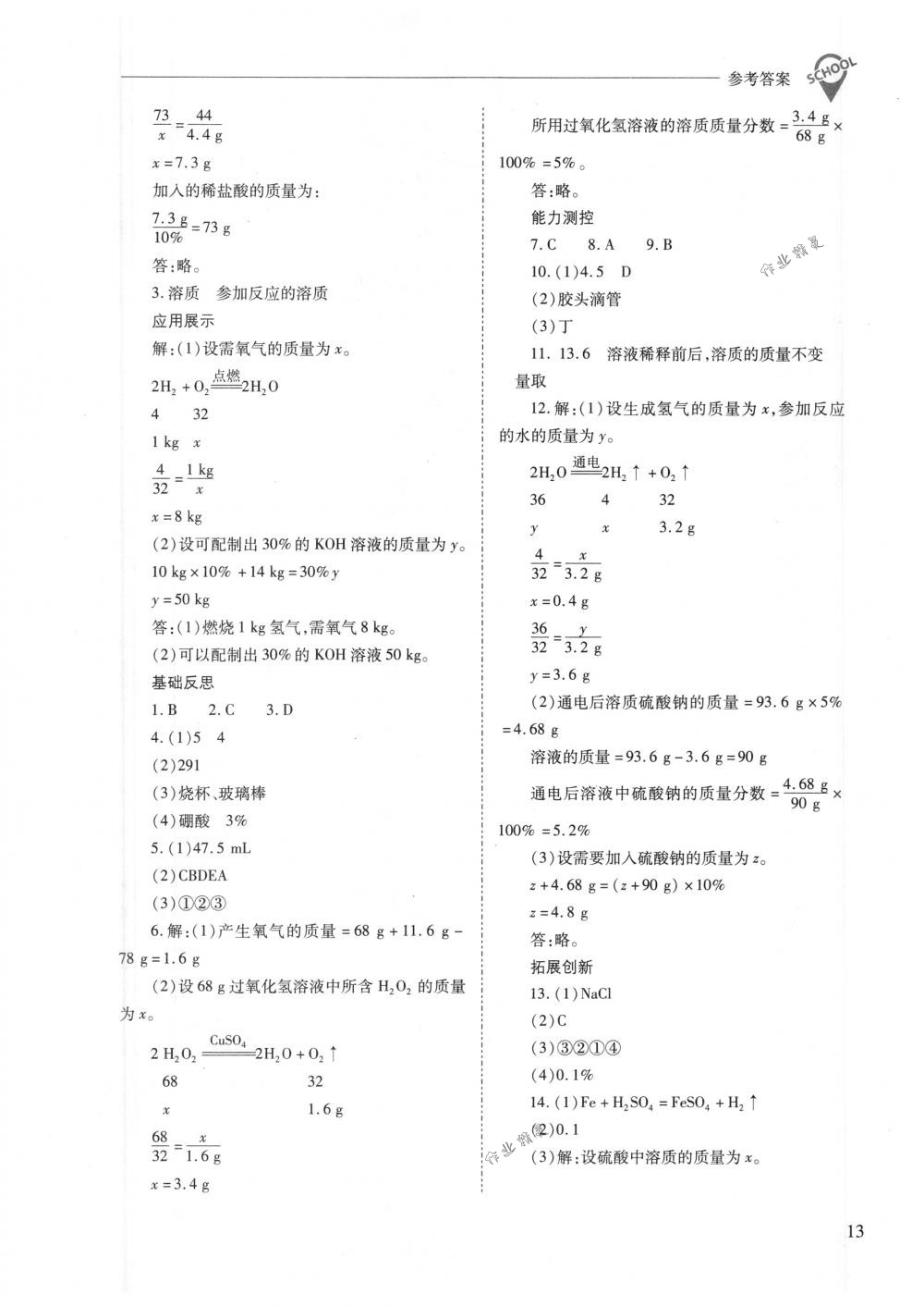 2018年新课程问题解决导学方案九年级化学下册人教版 第13页