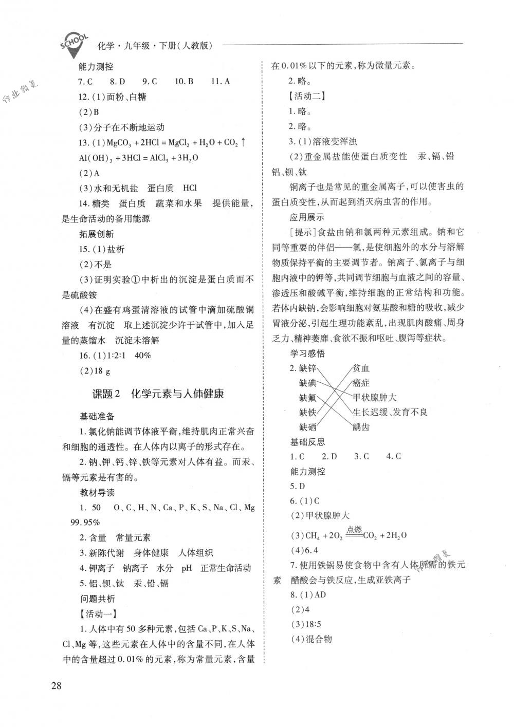 2018年新课程问题解决导学方案九年级化学下册人教版 第28页