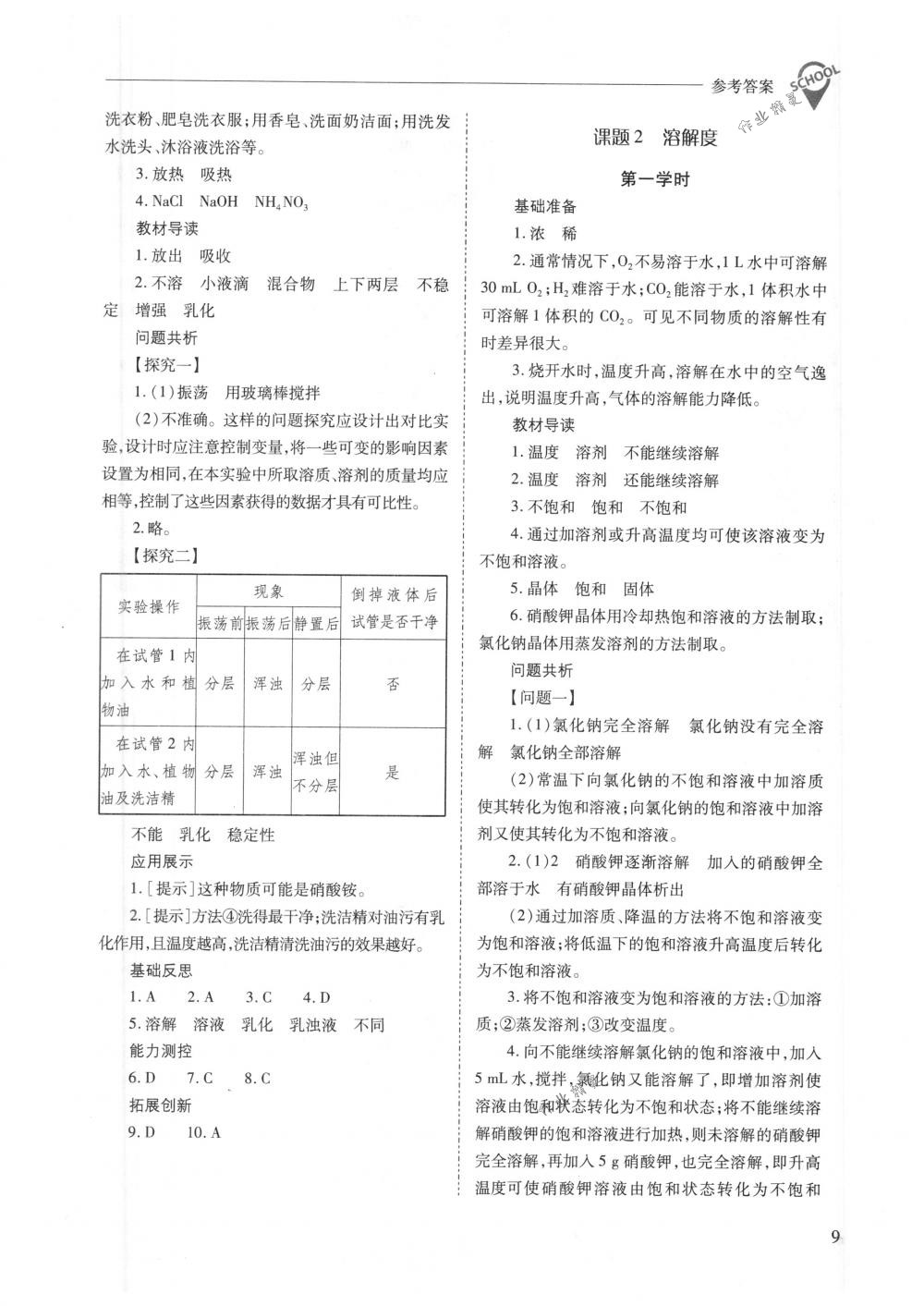 2018年新课程问题解决导学方案九年级化学下册人教版 第9页