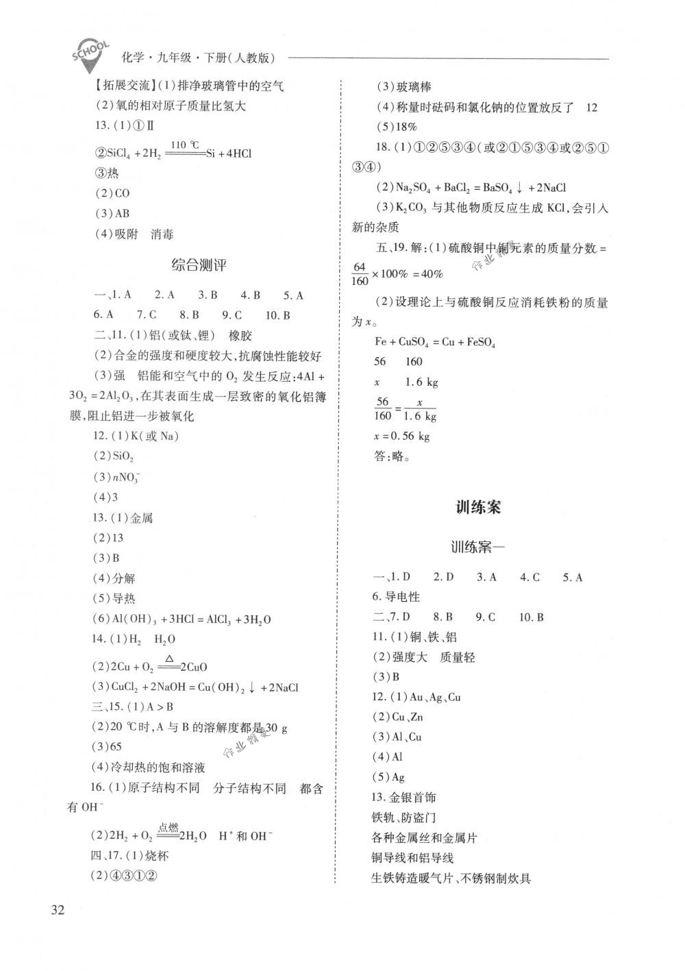 2018年新课程问题解决导学方案九年级化学下册人教版 第32页