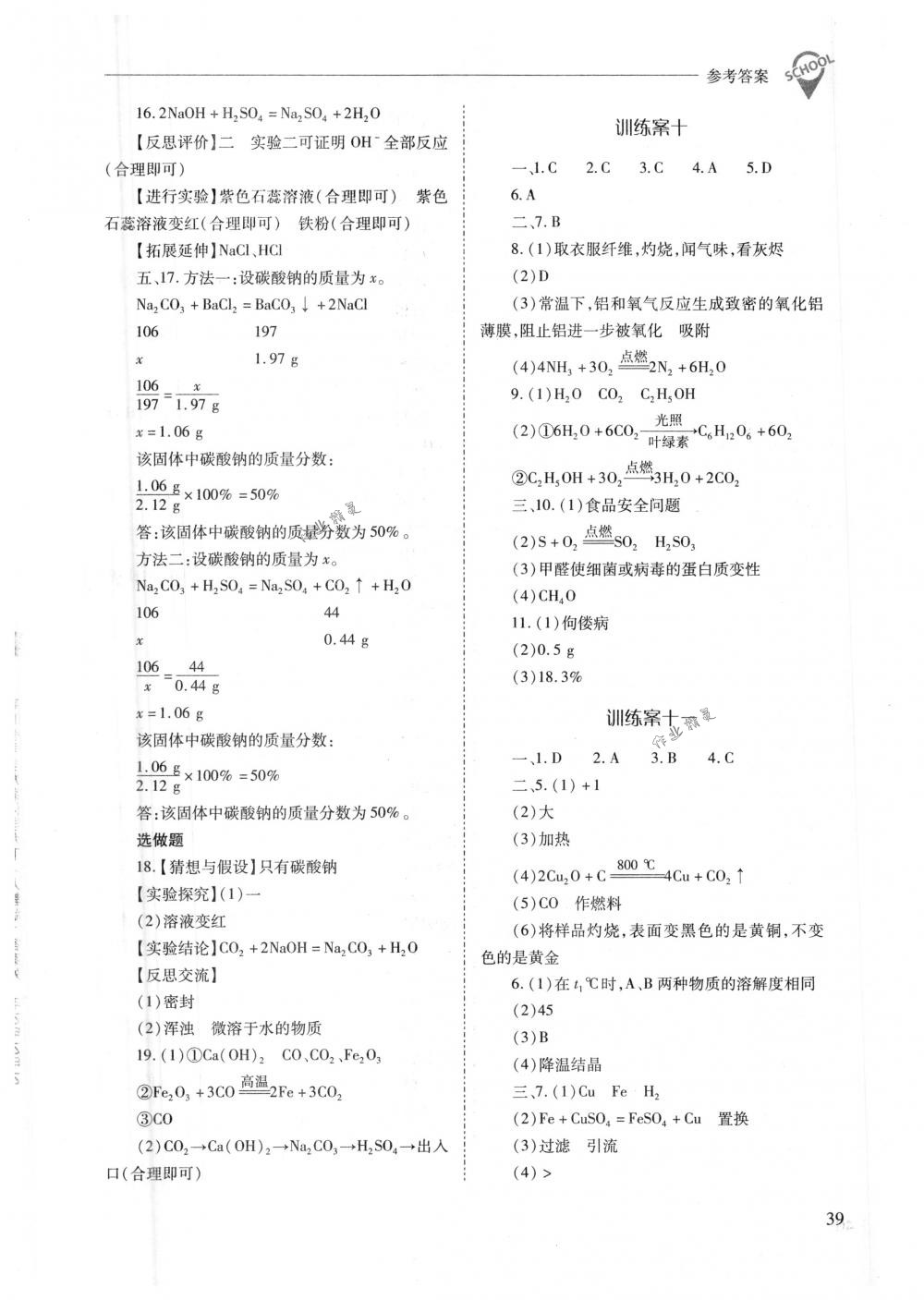 2018年新课程问题解决导学方案九年级化学下册人教版 第39页