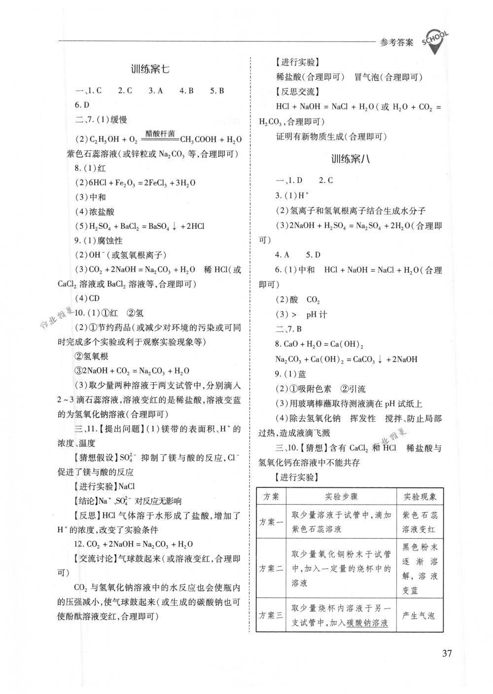 2018年新课程问题解决导学方案九年级化学下册人教版 第37页