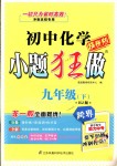 2018年初中化學小題狂做九年級下冊滬教版提優(yōu)版