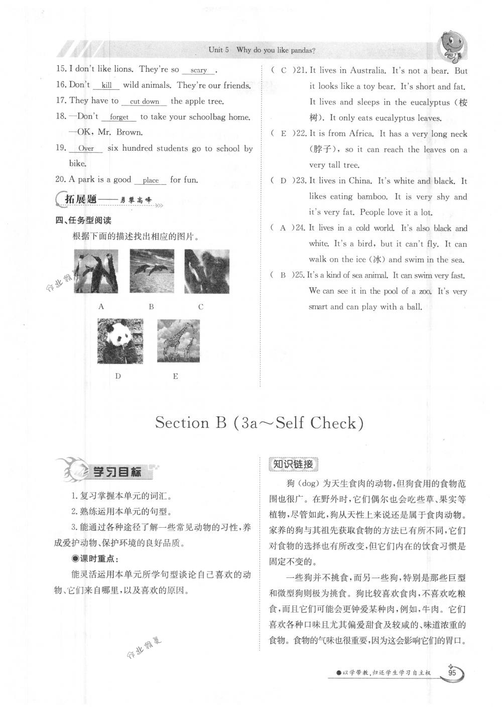 2018年金太陽導(dǎo)學(xué)案七年級英語下冊人教版 第95頁