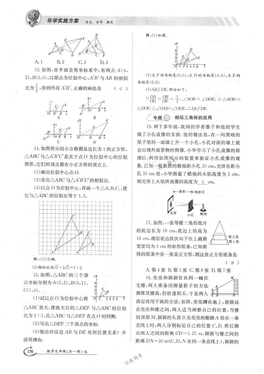 2018年金太陽導(dǎo)學(xué)案九年級數(shù)學(xué)全一冊人教版 第236頁