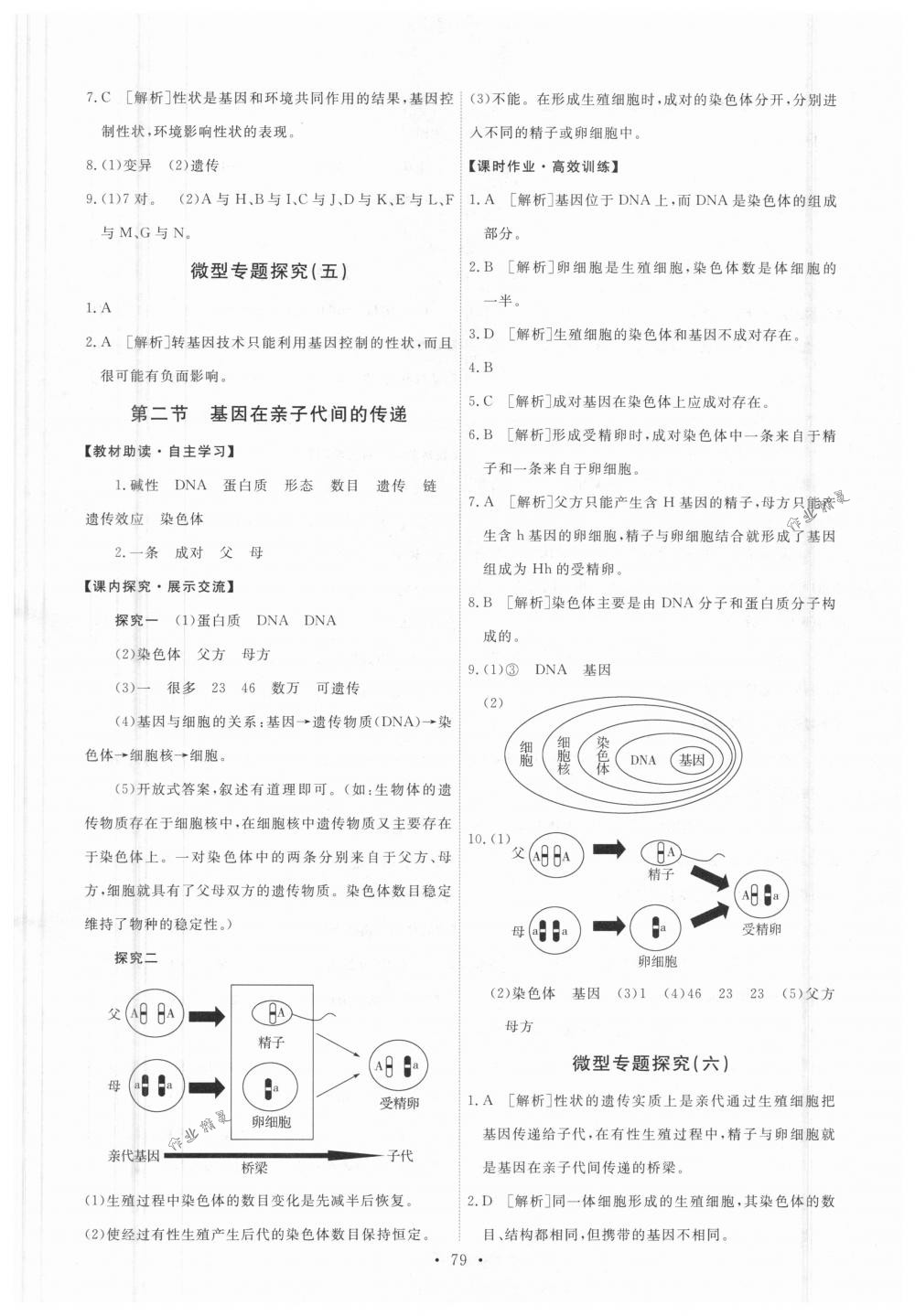 2018年能力培养与测试八年级生物学下册人教版 第5页