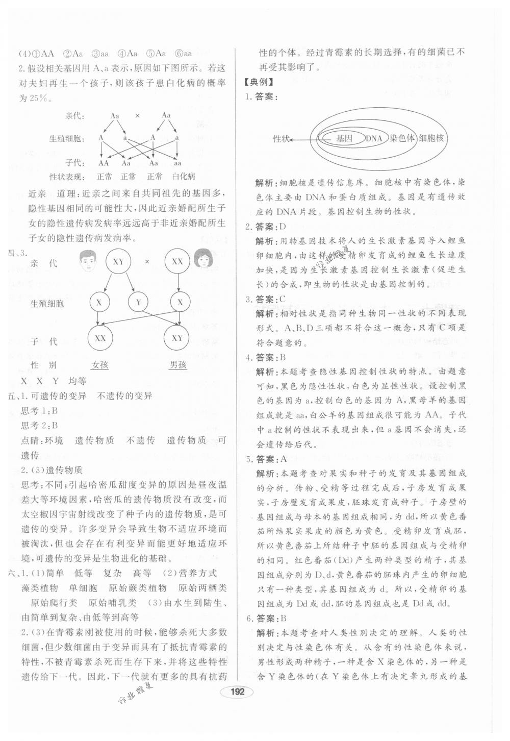 2018年中考档案九年级生物下册A版 第20页