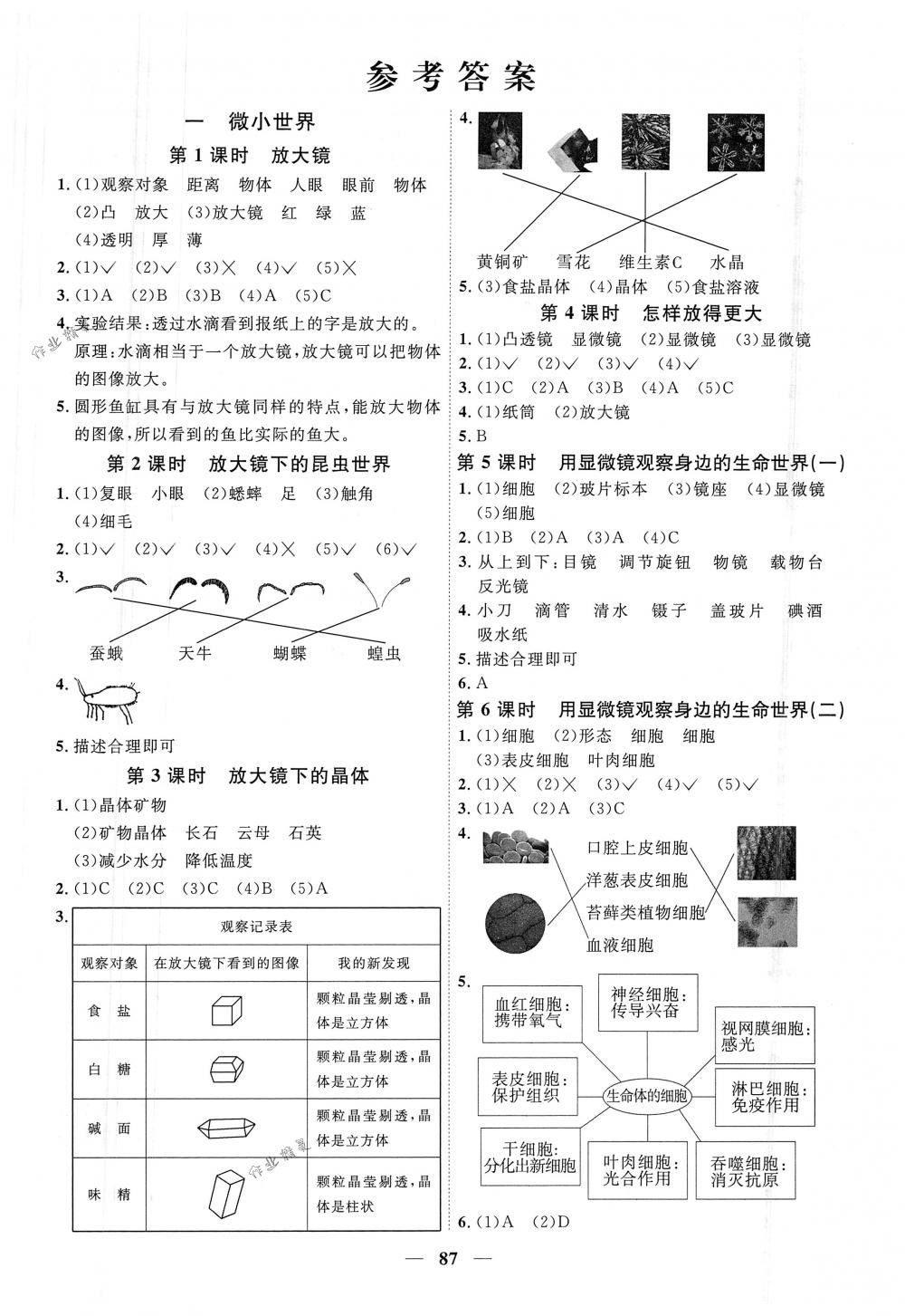 2018年陽光同學(xué)課時(shí)優(yōu)化作業(yè)六年級(jí)科學(xué)下冊(cè)教科版 第1頁