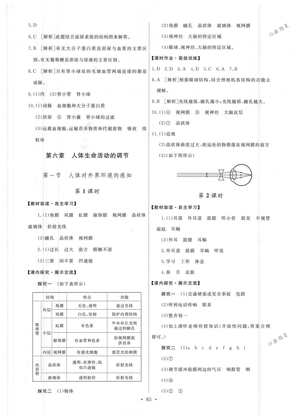 2018年能力培養(yǎng)與測試七年級生物學(xué)下冊人教版 第11頁