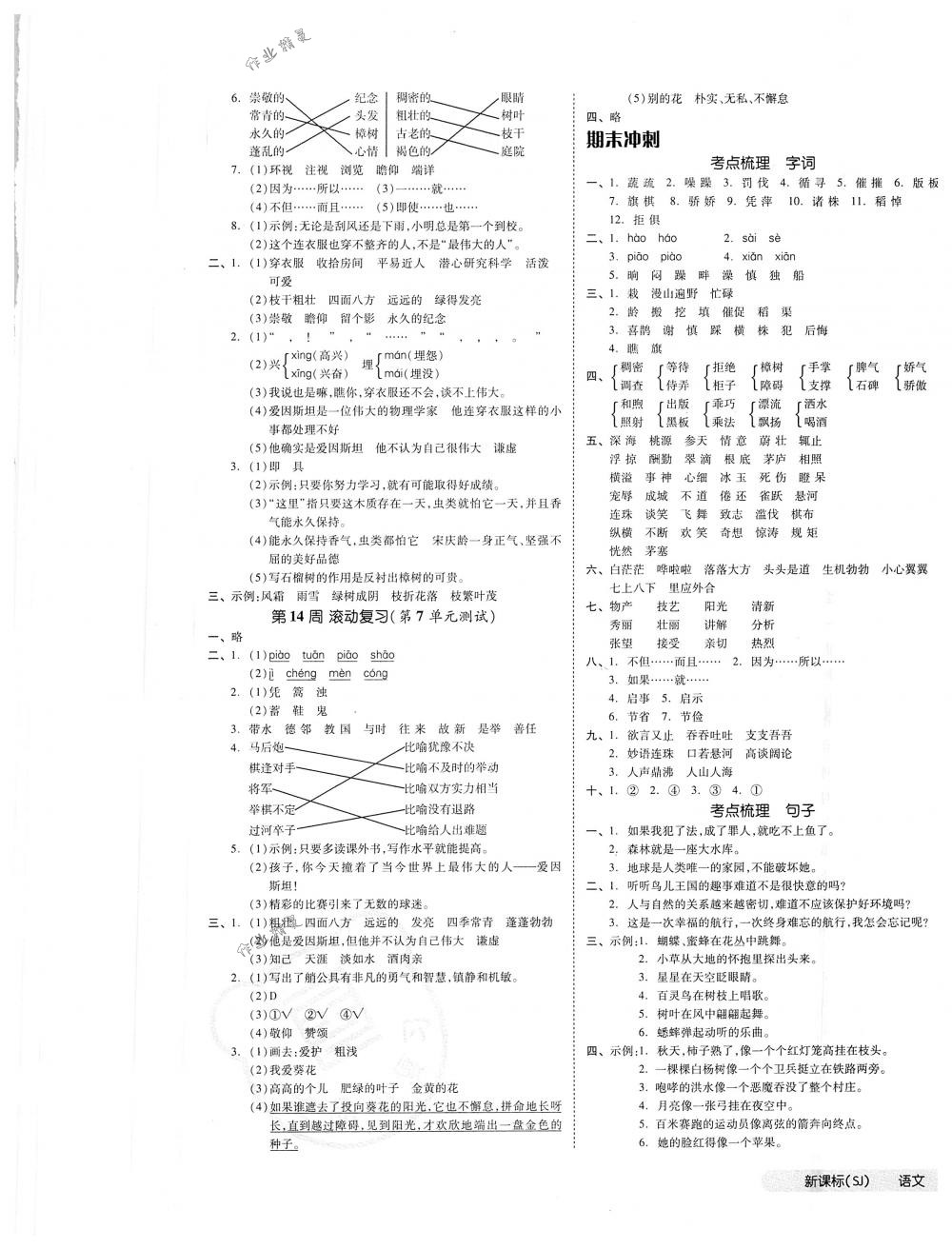 2018年全品小复习四年级语文下册苏教版 第5页