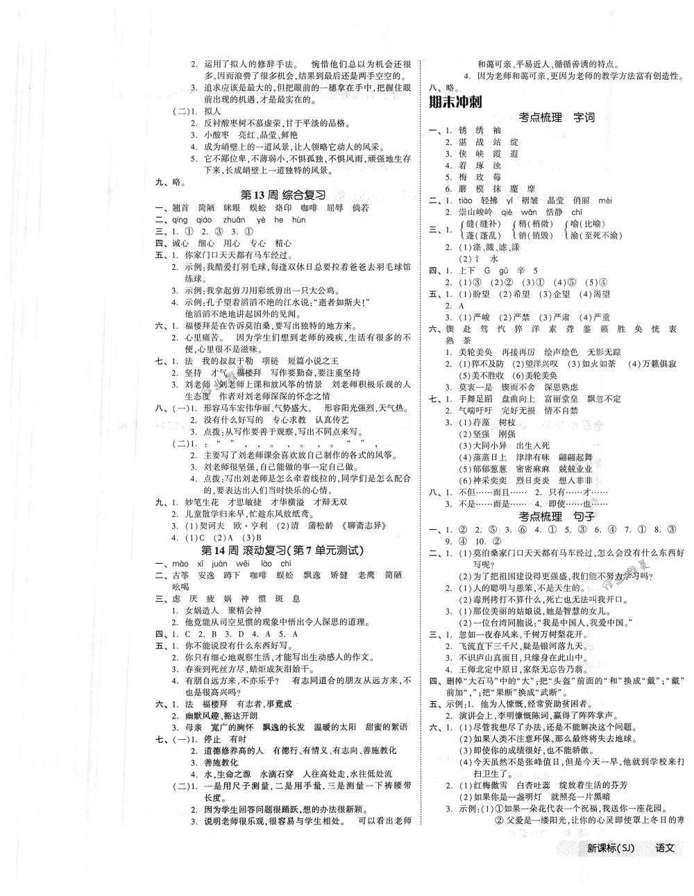 2018年全品小复习六年级语文下册苏教版 第5页