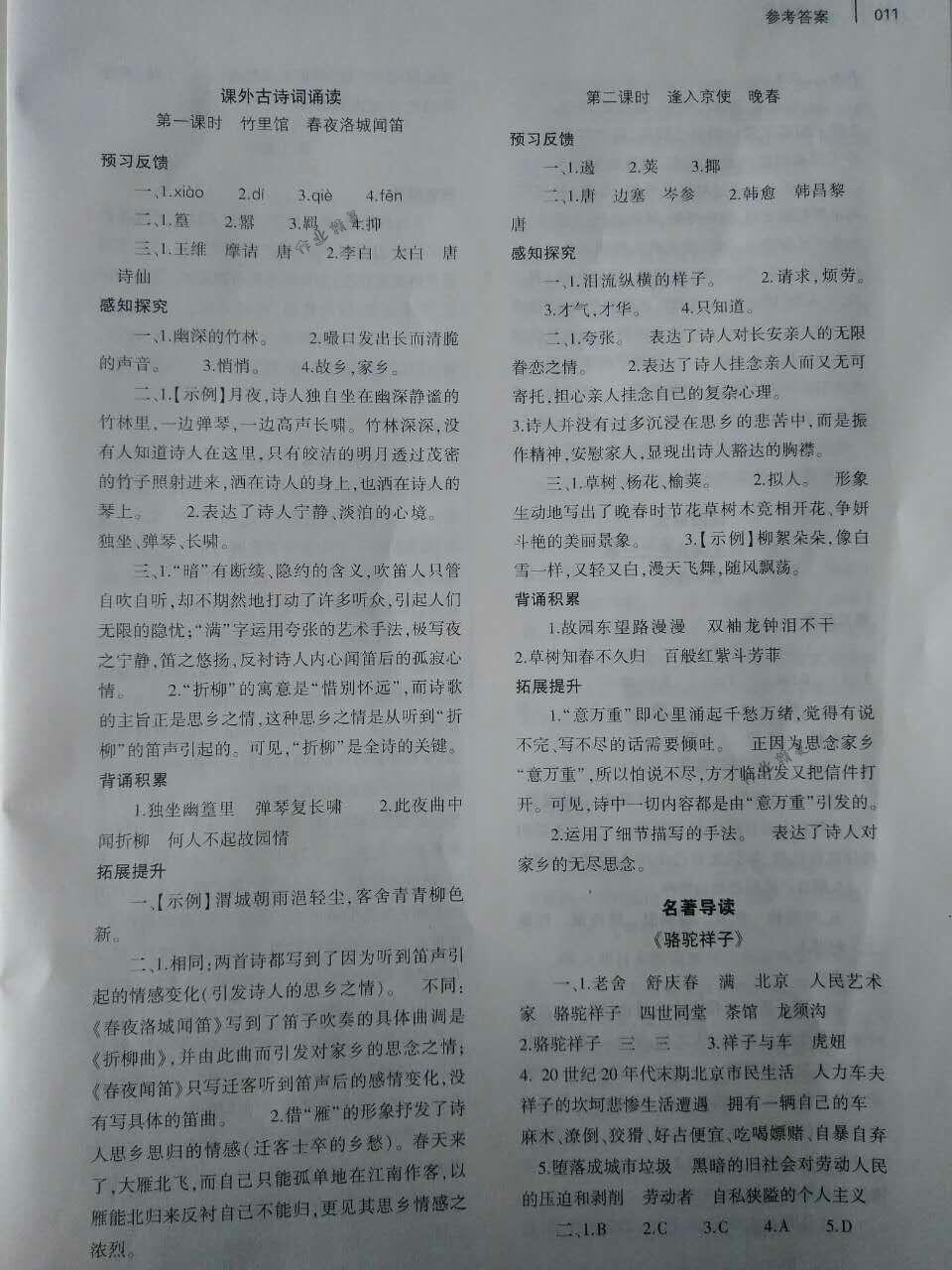 2018年基礎訓練七年級語文下冊人教版僅限河南省使用大象出版社 第11頁