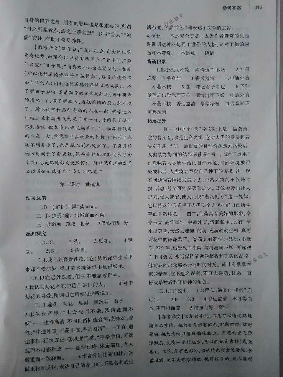 2018年基礎訓練七年級語文下冊人教版僅限河南省使用大象出版社 第15頁