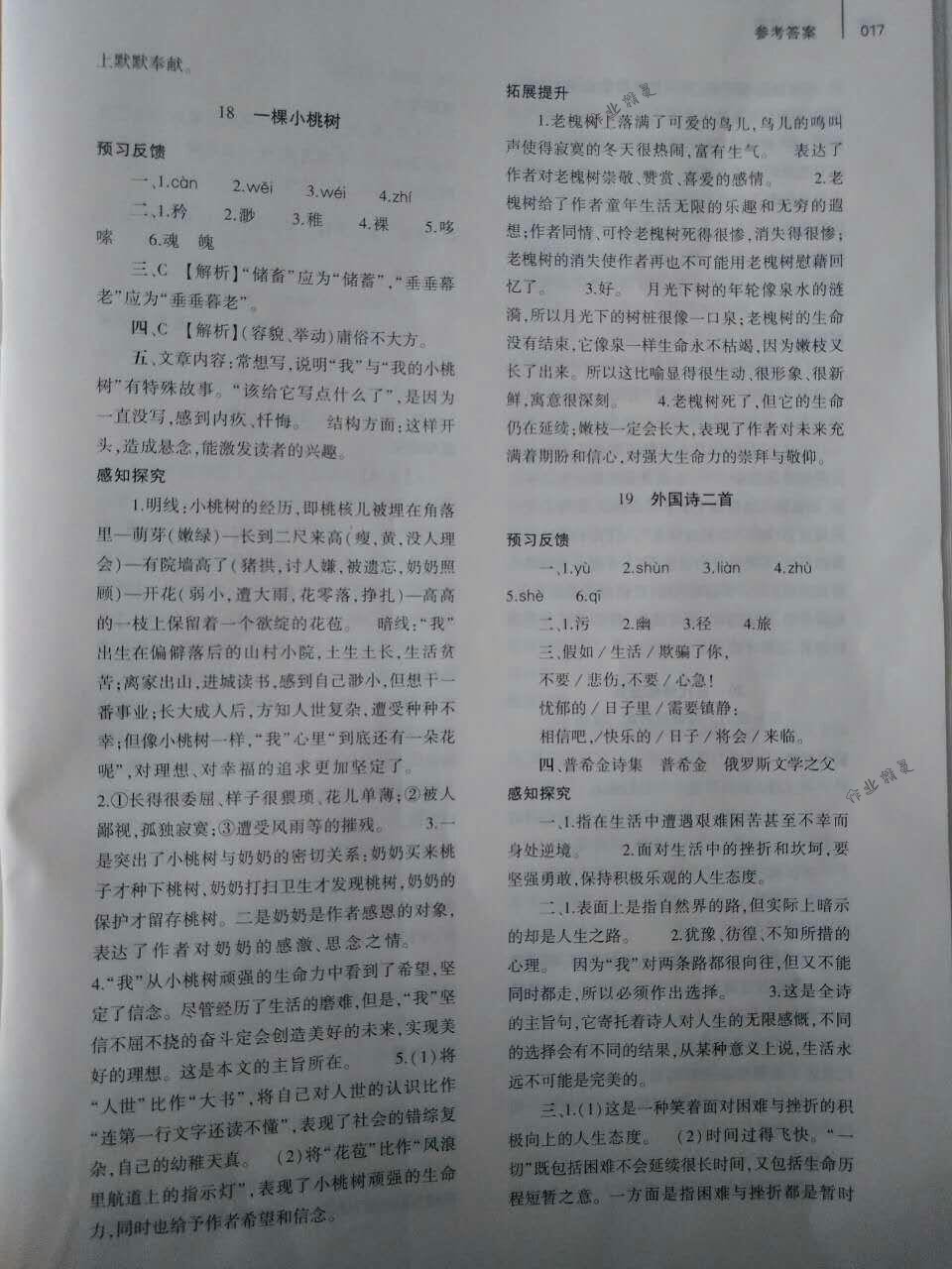 2018年基礎(chǔ)訓(xùn)練七年級(jí)語文下冊(cè)人教版僅限河南省使用大象出版社 第17頁(yè)