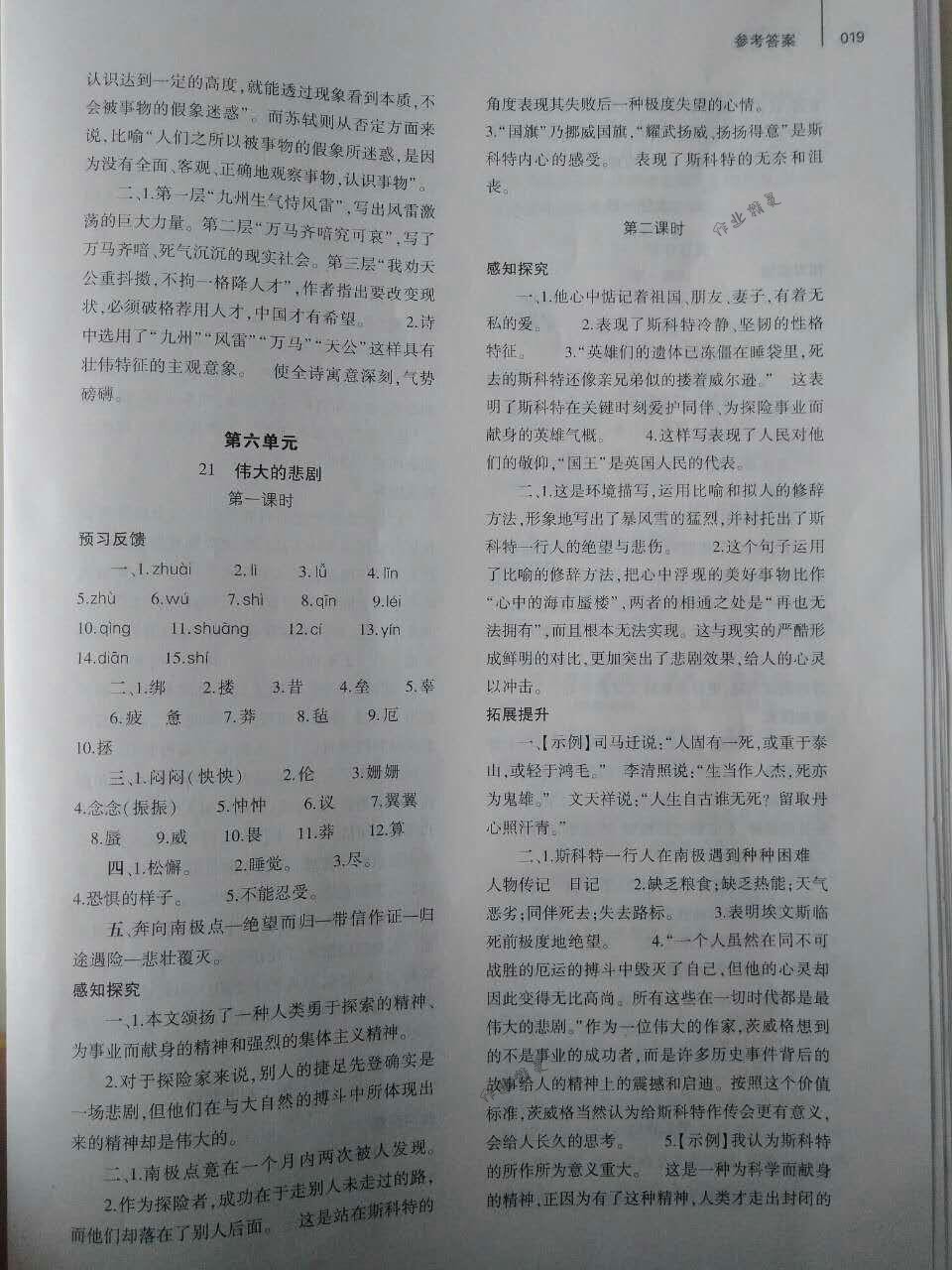 2018年基礎(chǔ)訓(xùn)練七年級語文下冊人教版僅限河南省使用大象出版社 第19頁