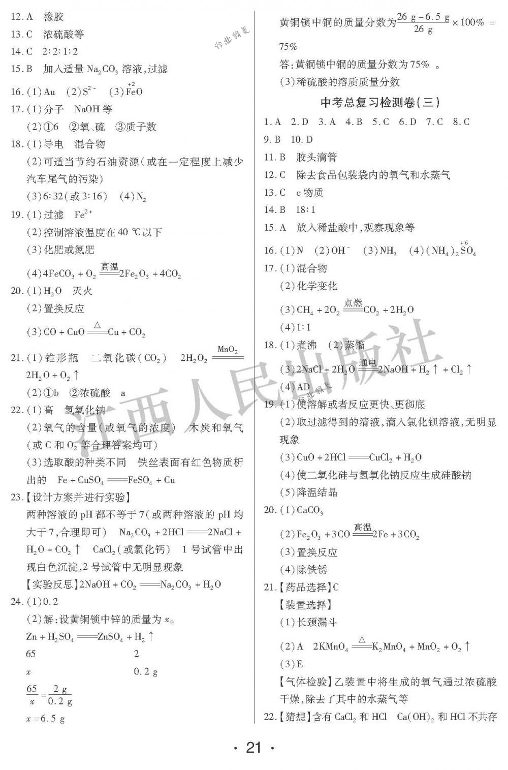 2018年中考新评价九年级化学下册江西人民出版社 第21页