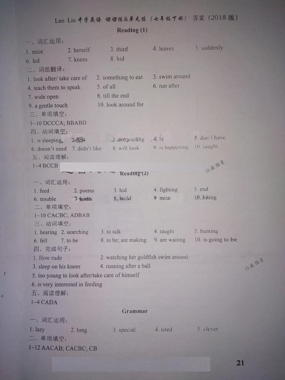 2018年LeoLiu中学英语课课练七年级英语下册译林版 第21页