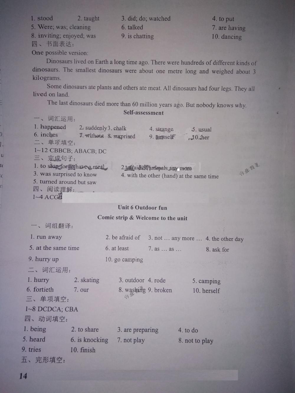 2018年LeoLiu中学英语课课练七年级英语下册译林版 第14页