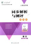 2018年人教金學(xué)典同步解析與測評學(xué)考練六年級語文下冊人教版