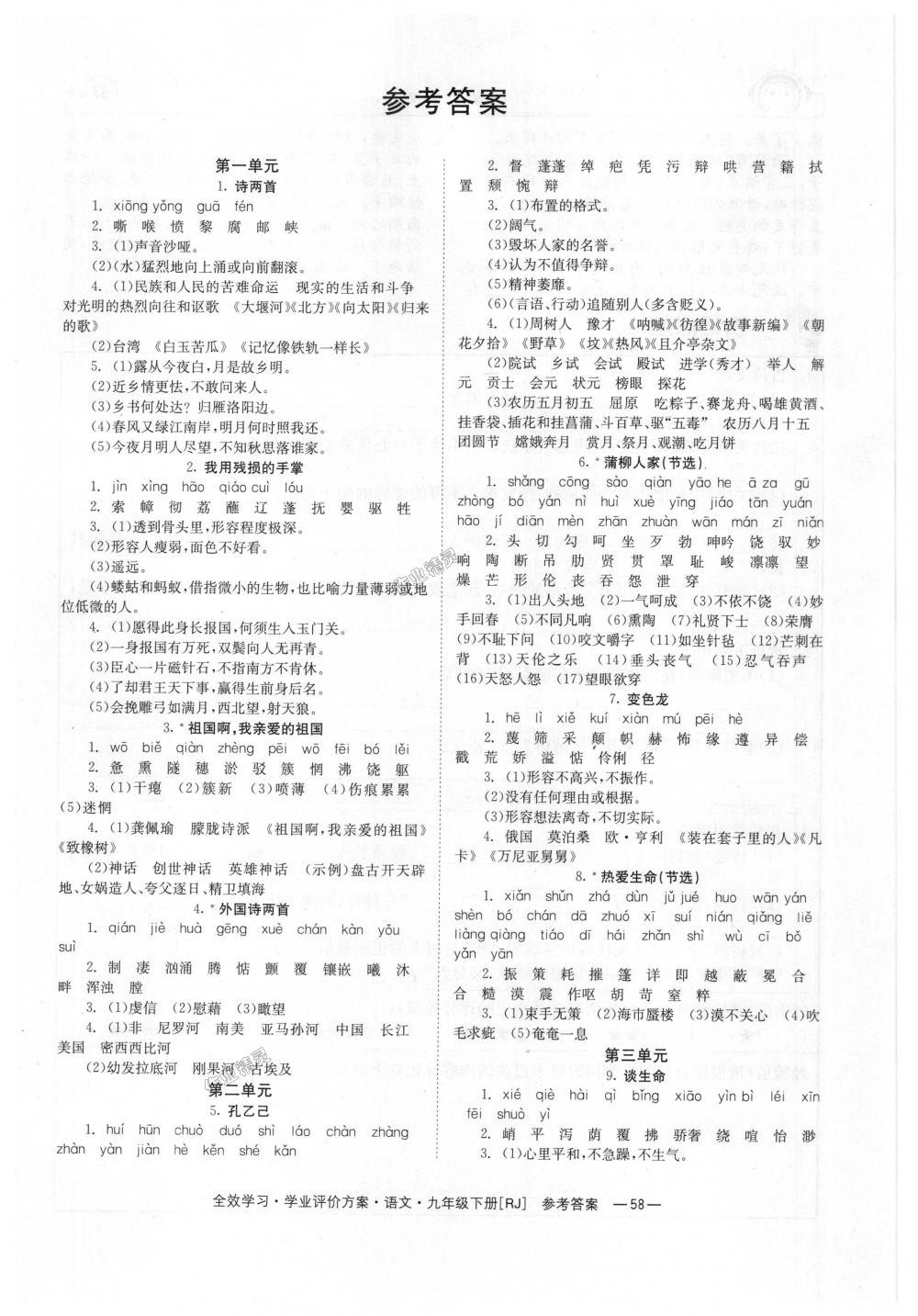 2018年全效學(xué)習(xí)學(xué)業(yè)評價方案九年級語文下冊人教版 第13頁