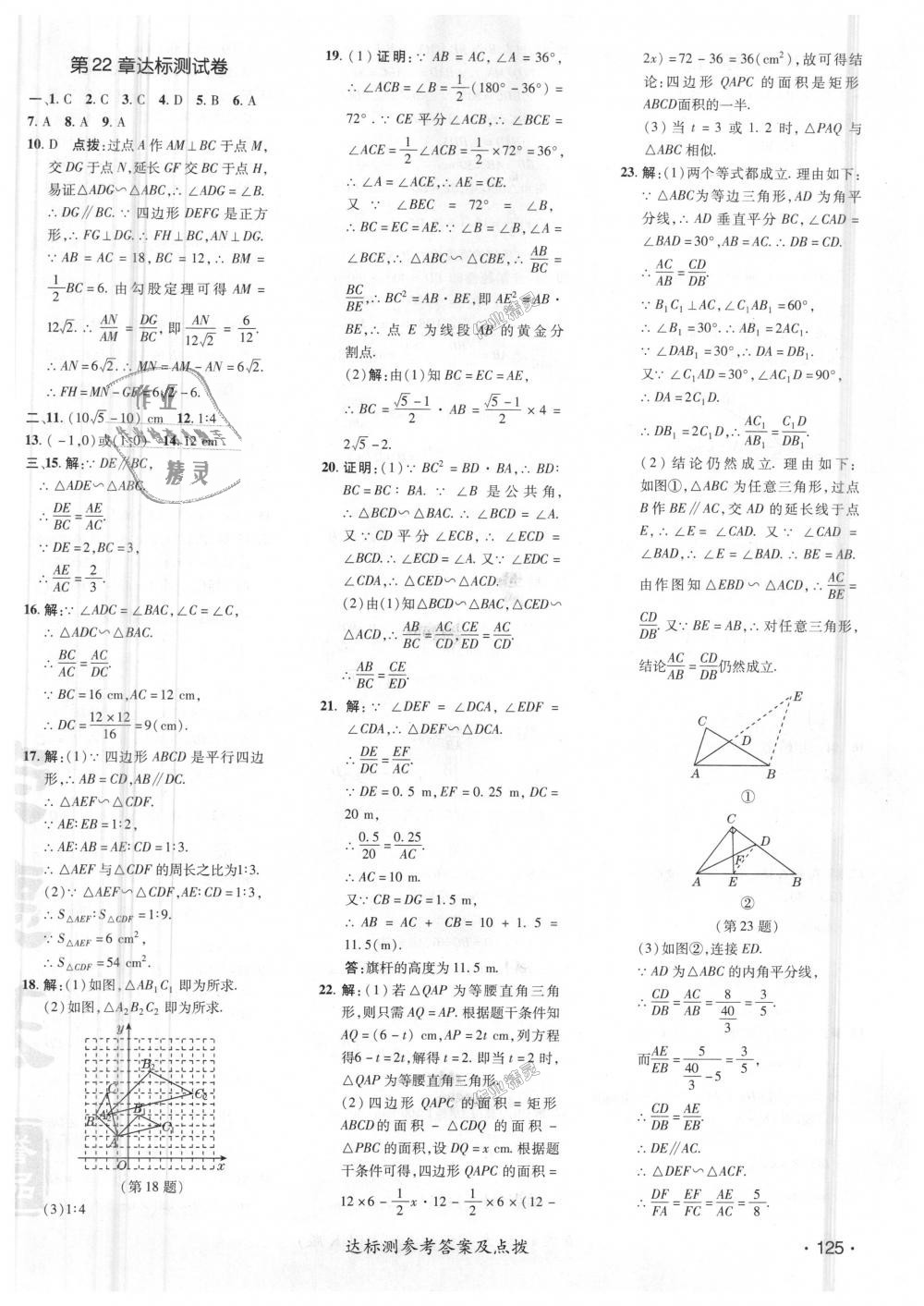 2018年点拨训练九年级数学上册沪科版 第46页