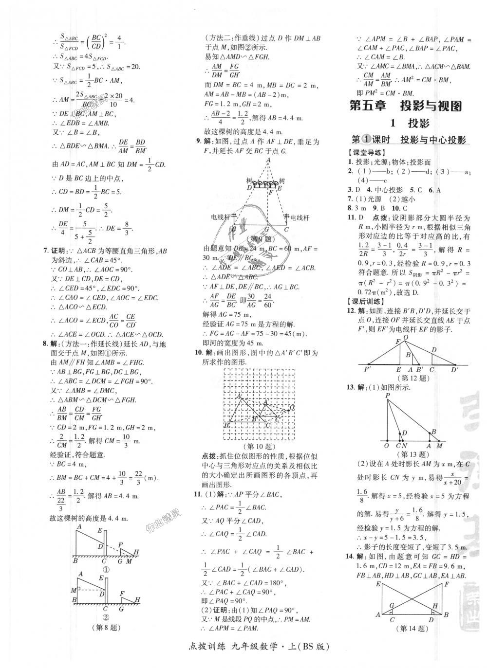 2018年點撥訓練九年級數(shù)學上冊北師大版 第28頁