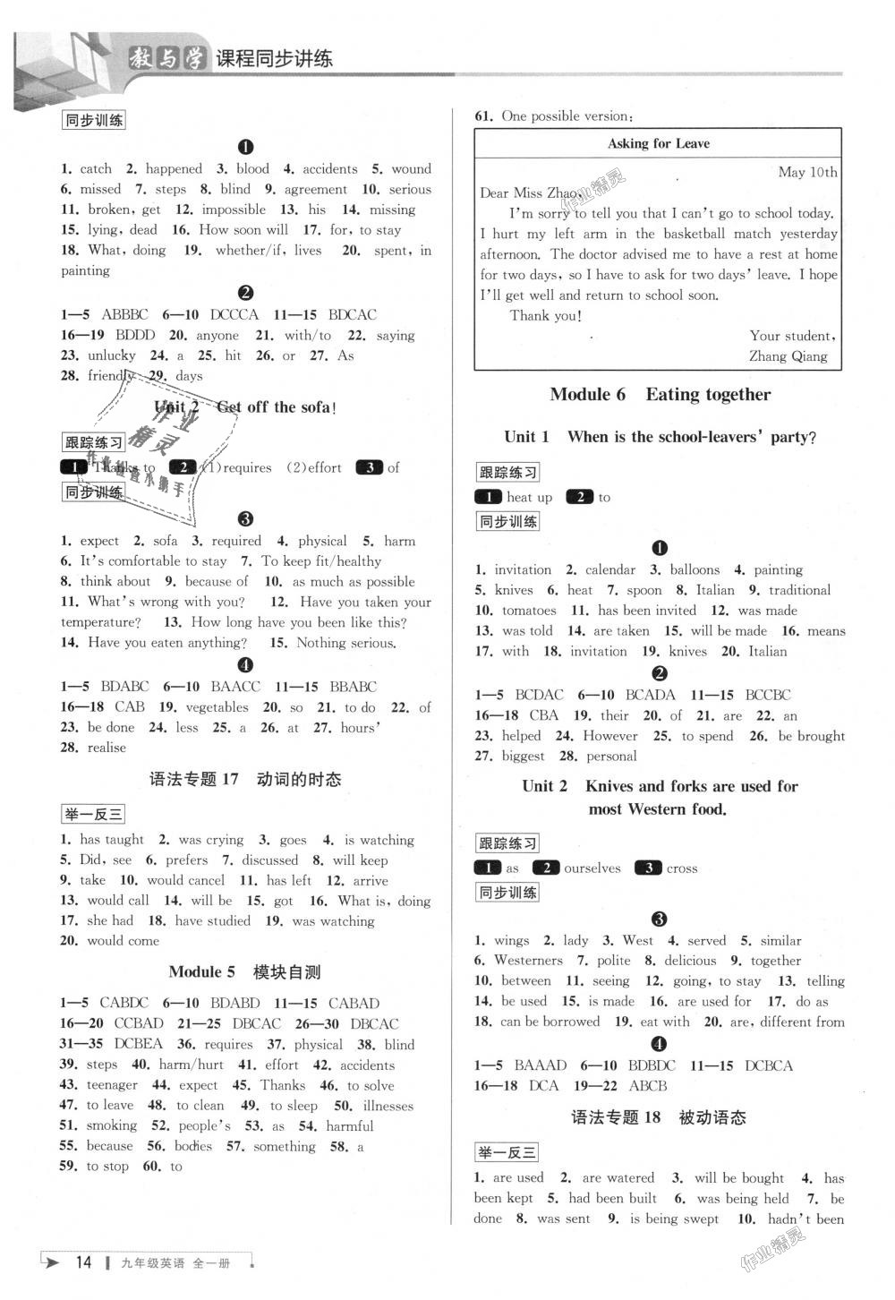 2018年教與學課程同步講練九年級英語全一冊外研新標準 第13頁