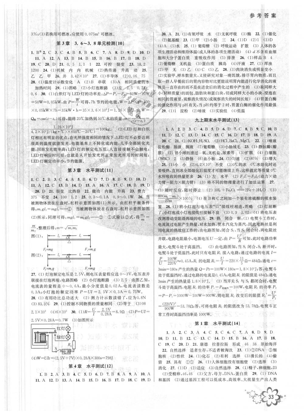 2018年初中新學(xué)案優(yōu)化與提高九年級(jí)科學(xué)全一冊(cè)浙教版 第33頁