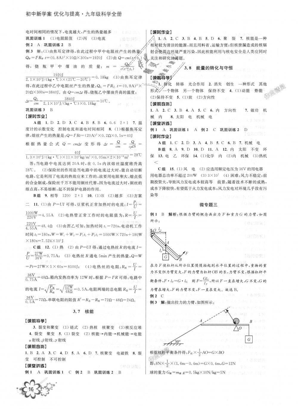 2018年初中新學(xué)案優(yōu)化與提高九年級(jí)科學(xué)全一冊(cè)浙教版 第16頁(yè)