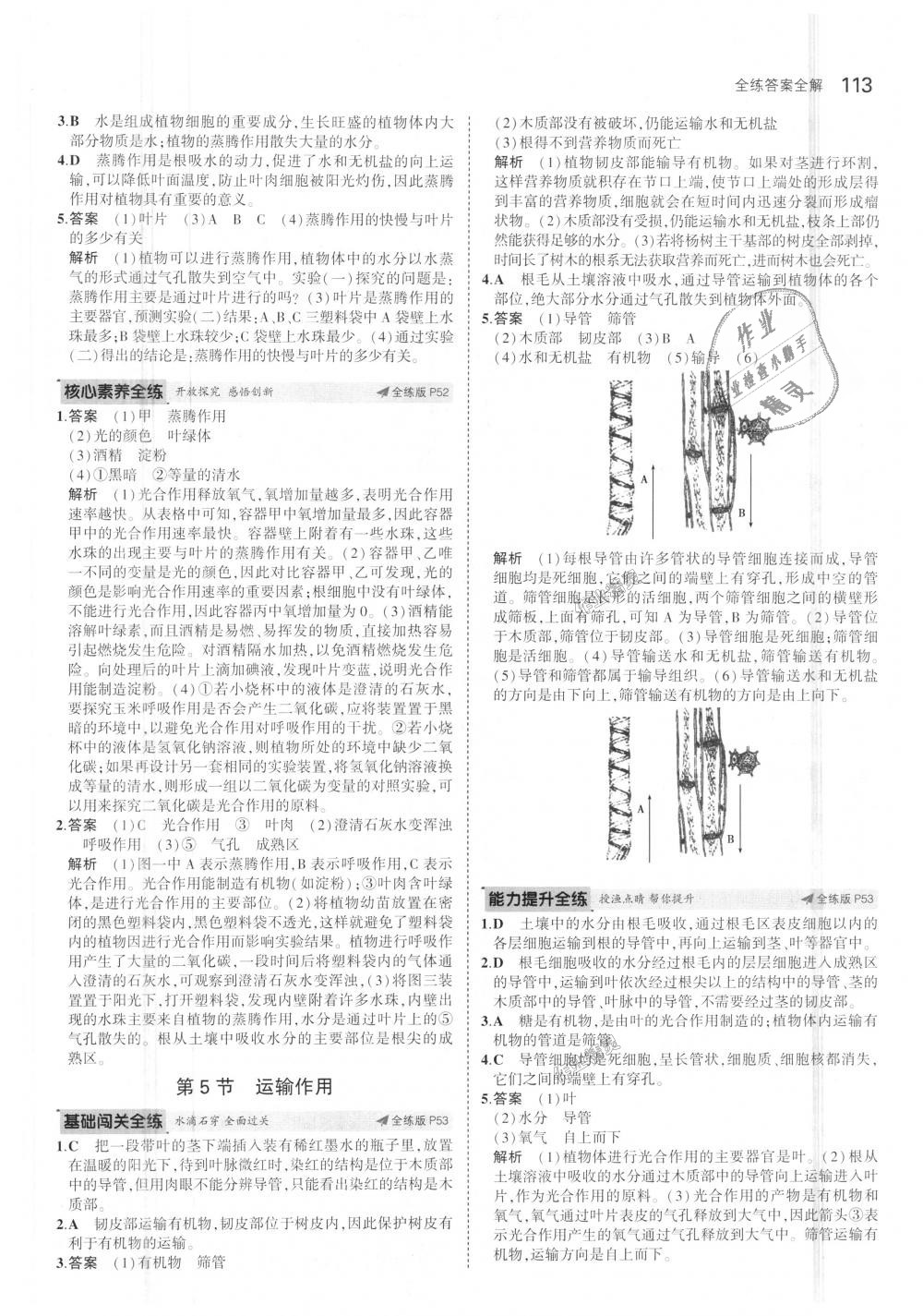 2018年5年中考3年模拟初中生物七年级上册北师大版 第21页