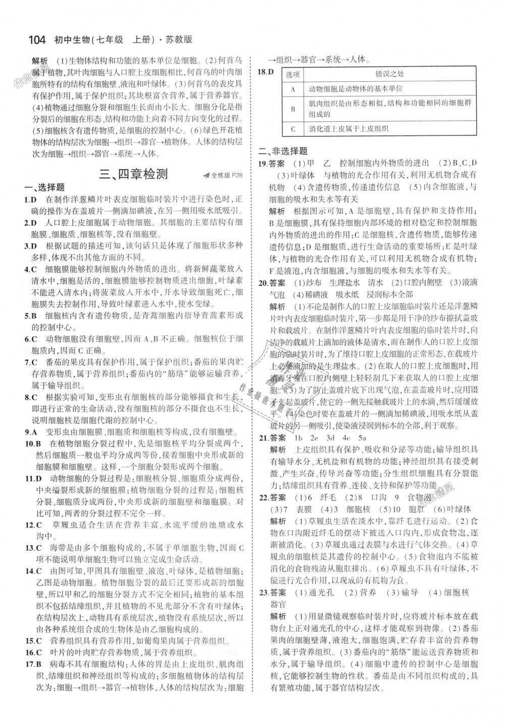 2018年5年中考3年模擬初中生物七年級(jí)上冊(cè)蘇教版 第12頁(yè)