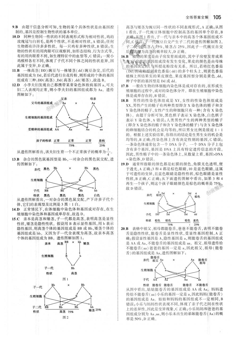 2018年5年中考3年模擬初中生物八年級(jí)上冊(cè)濟(jì)南版 第30頁