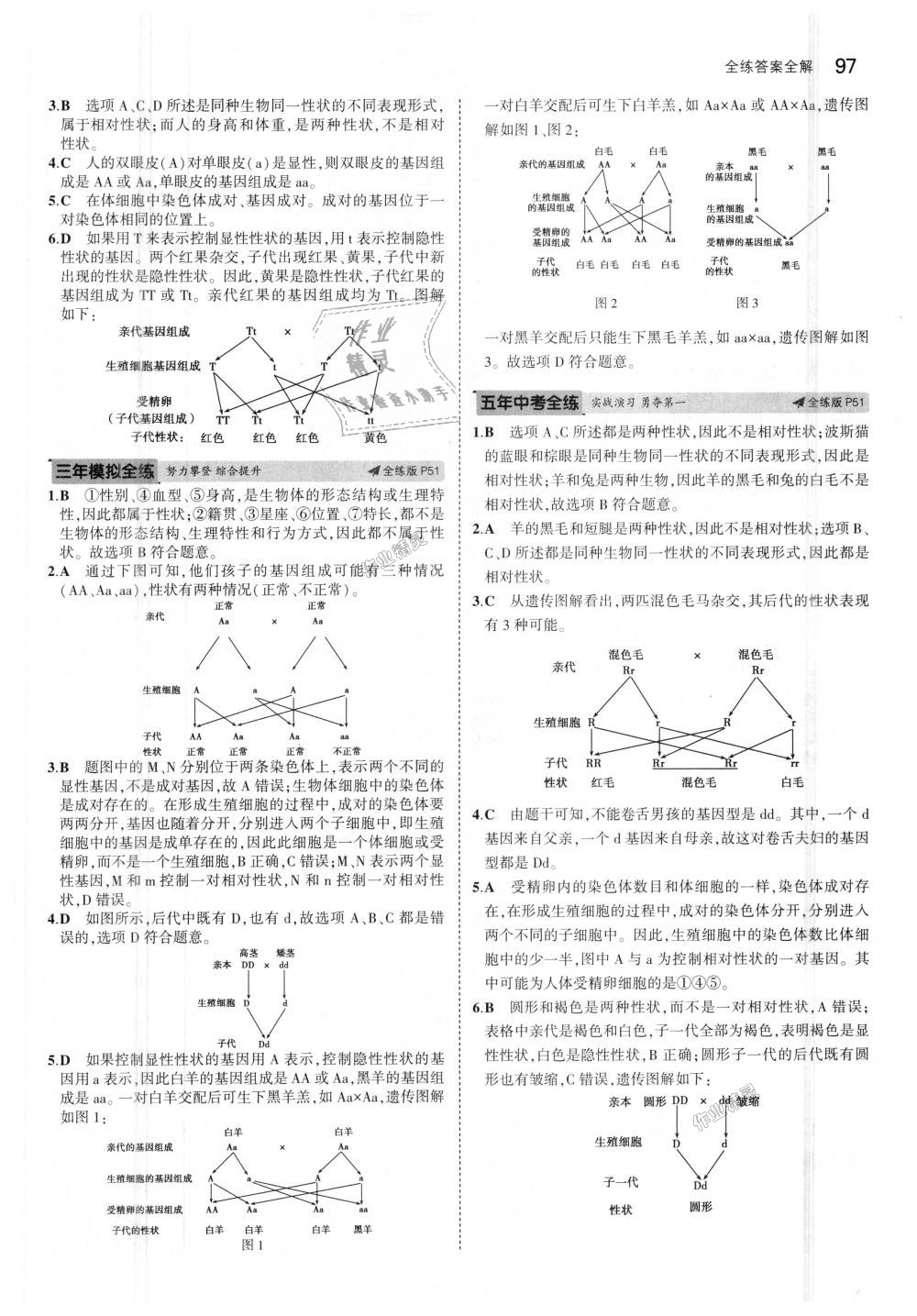 2018年5年中考3年模擬初中生物八年級(jí)上冊(cè)濟(jì)南版 第22頁