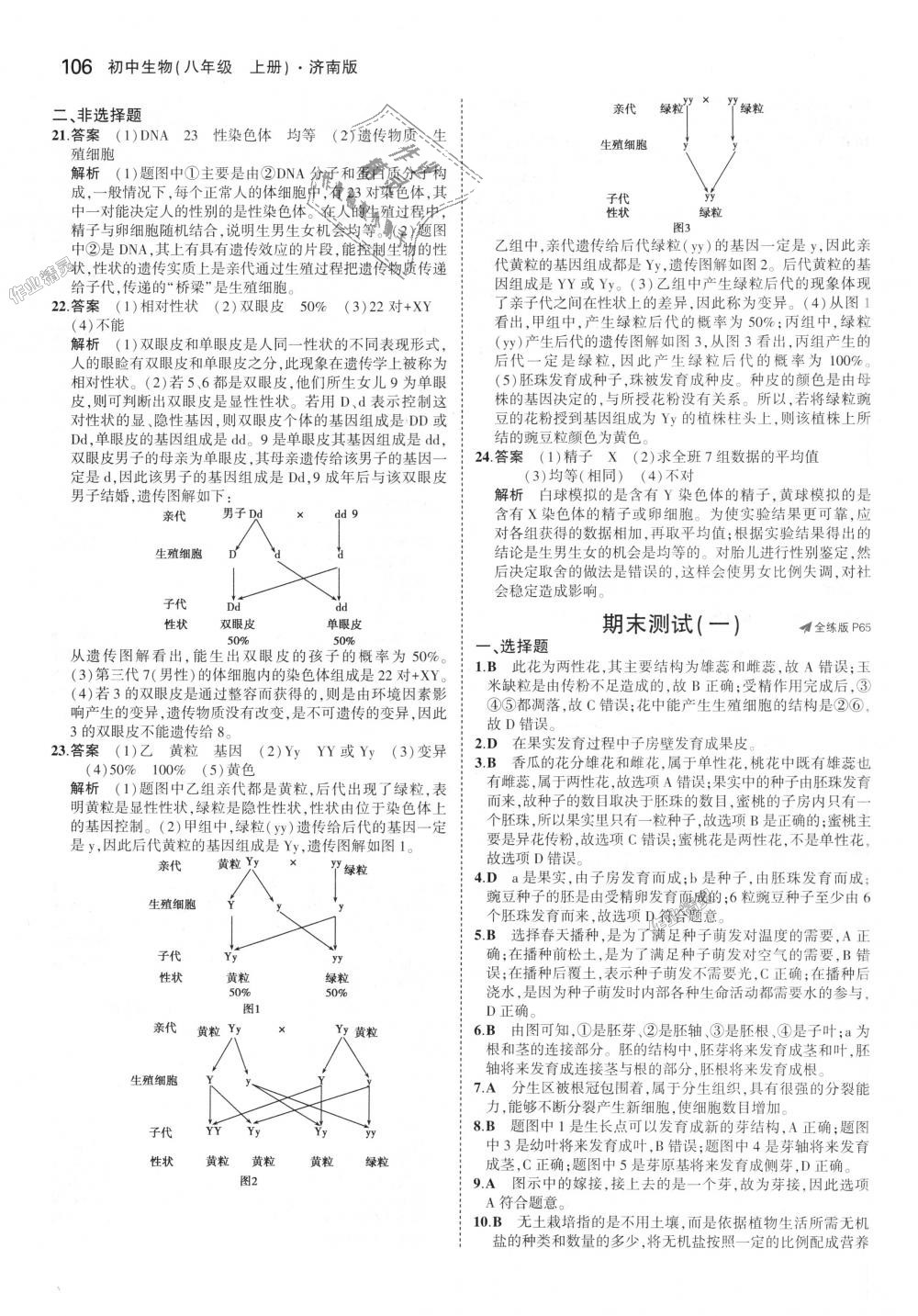 2018年5年中考3年模擬初中生物八年級上冊濟南版 第31頁