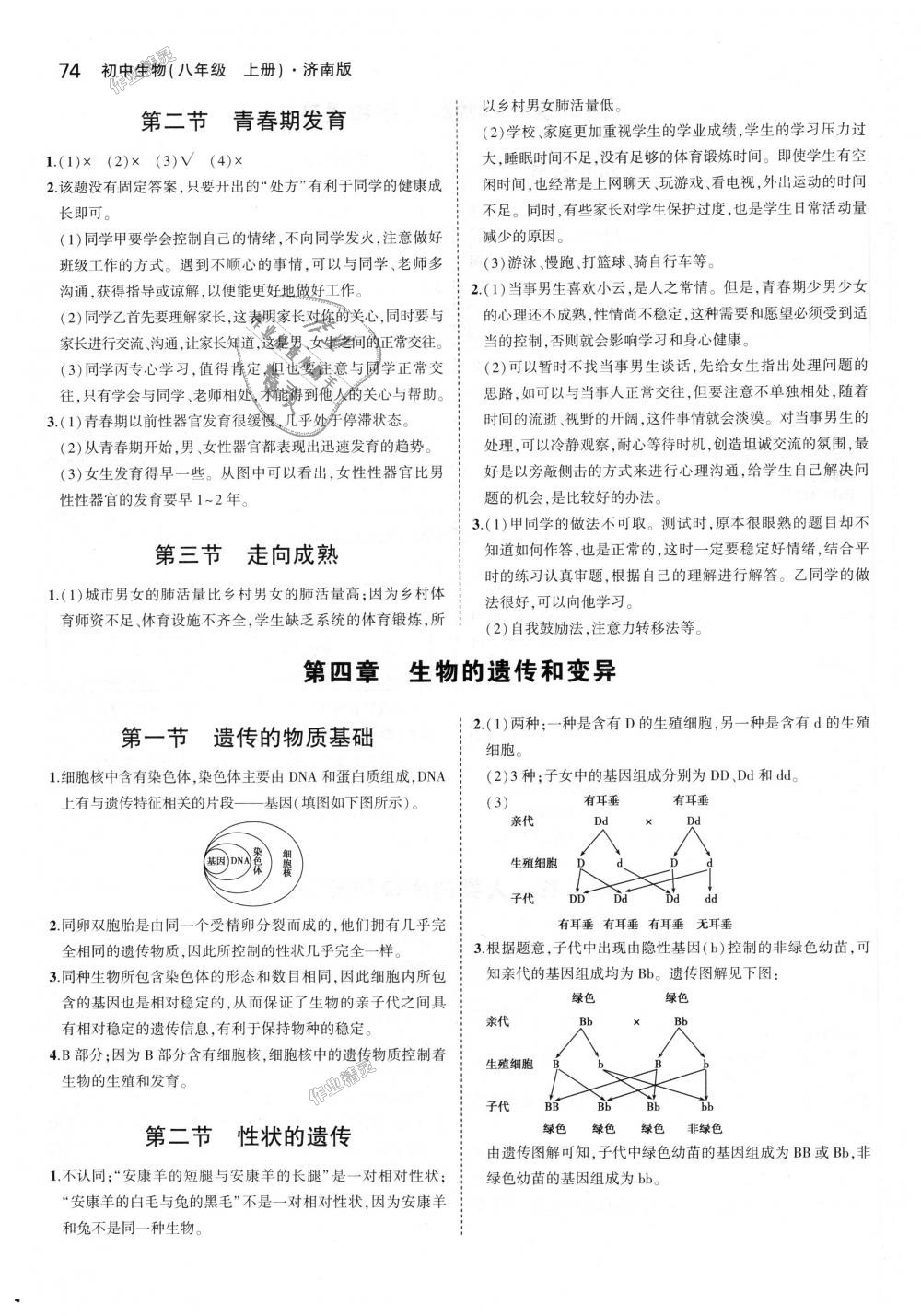 2018年5年中考3年模擬初中生物八年級(jí)上冊(cè)濟(jì)南版 第39頁