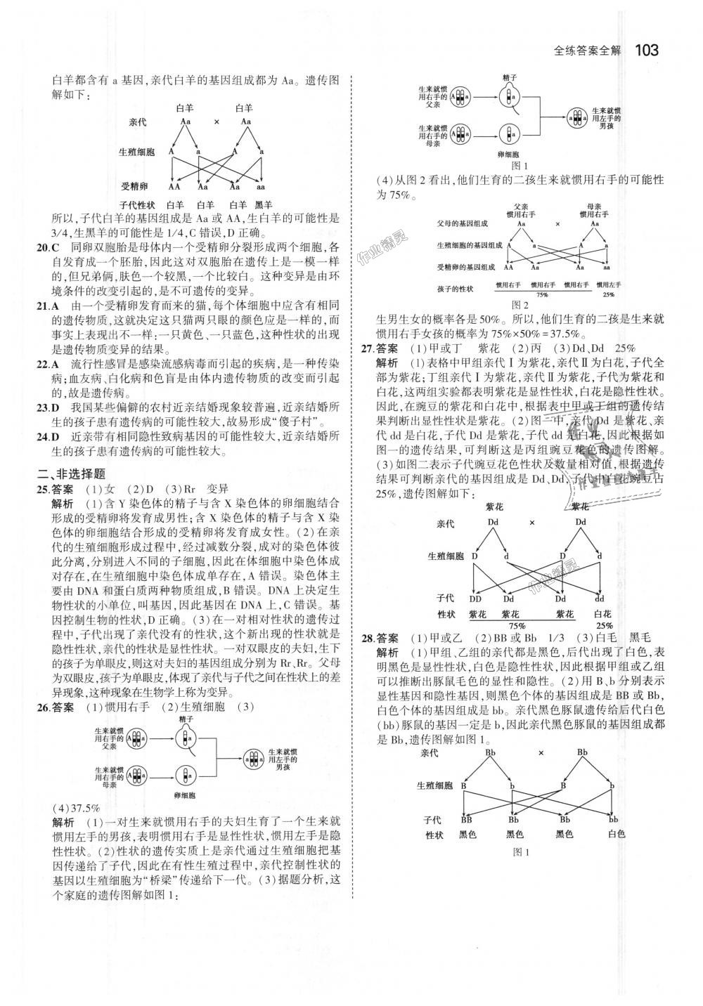 2018年5年中考3年模擬初中生物八年級(jí)上冊(cè)濟(jì)南版 第28頁(yè)