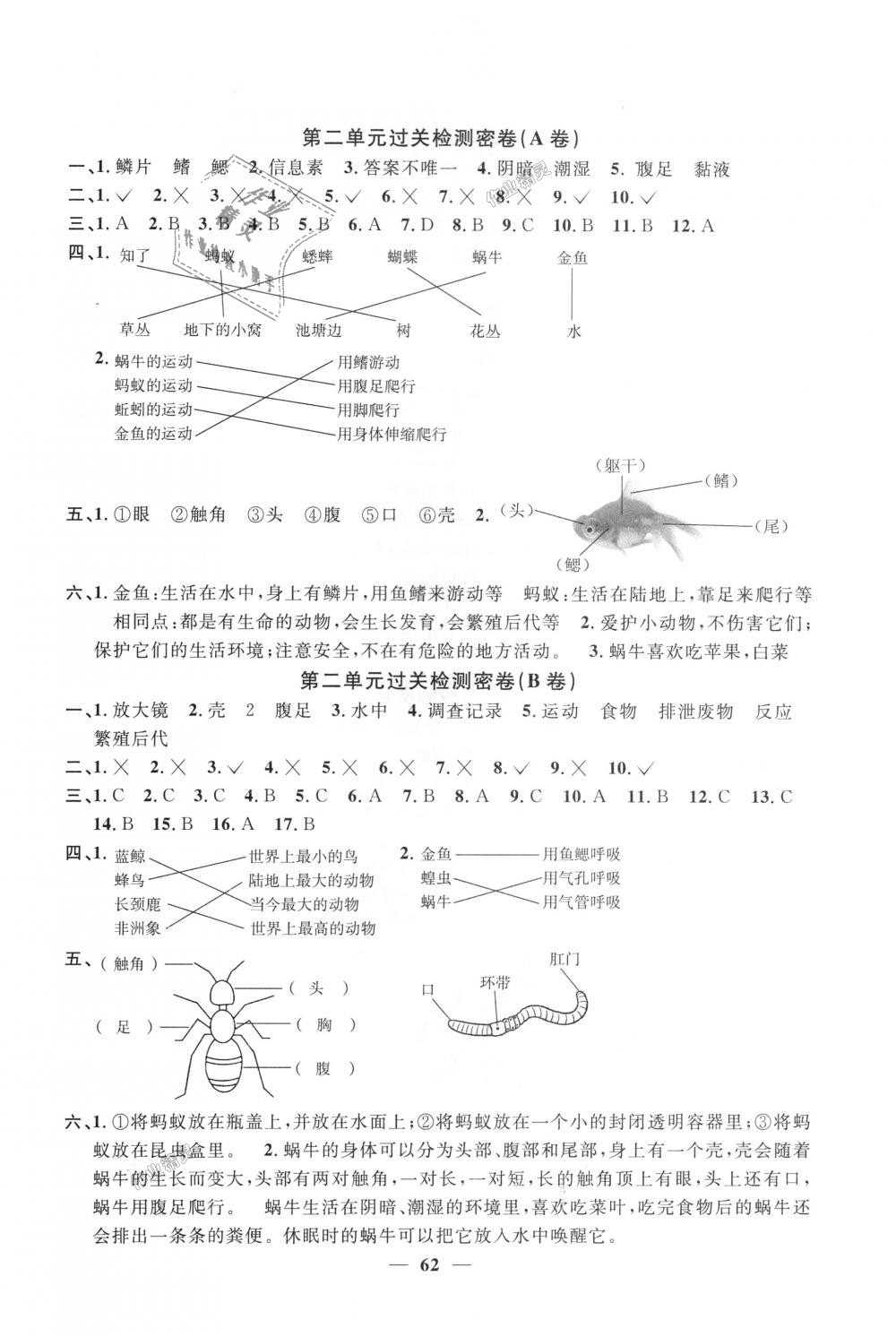 2018年陽光同學(xué)一線名師全優(yōu)好卷三年級科學(xué)上冊教科版 第2頁