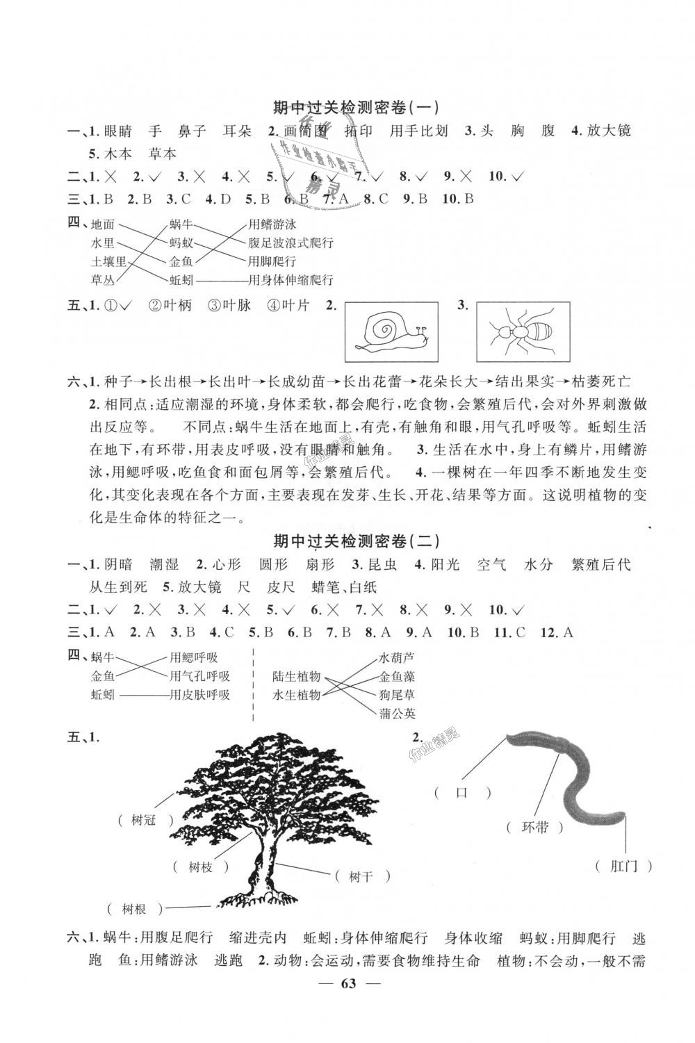 2018年陽光同學(xué)一線名師全優(yōu)好卷三年級科學(xué)上冊教科版 第3頁