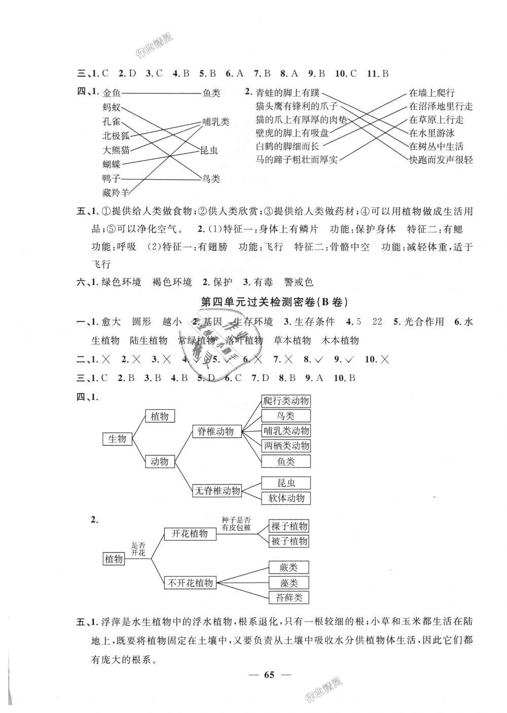 2018年陽光同學(xué)一線名師全優(yōu)好卷六年級科學(xué)上冊教科版 第5頁