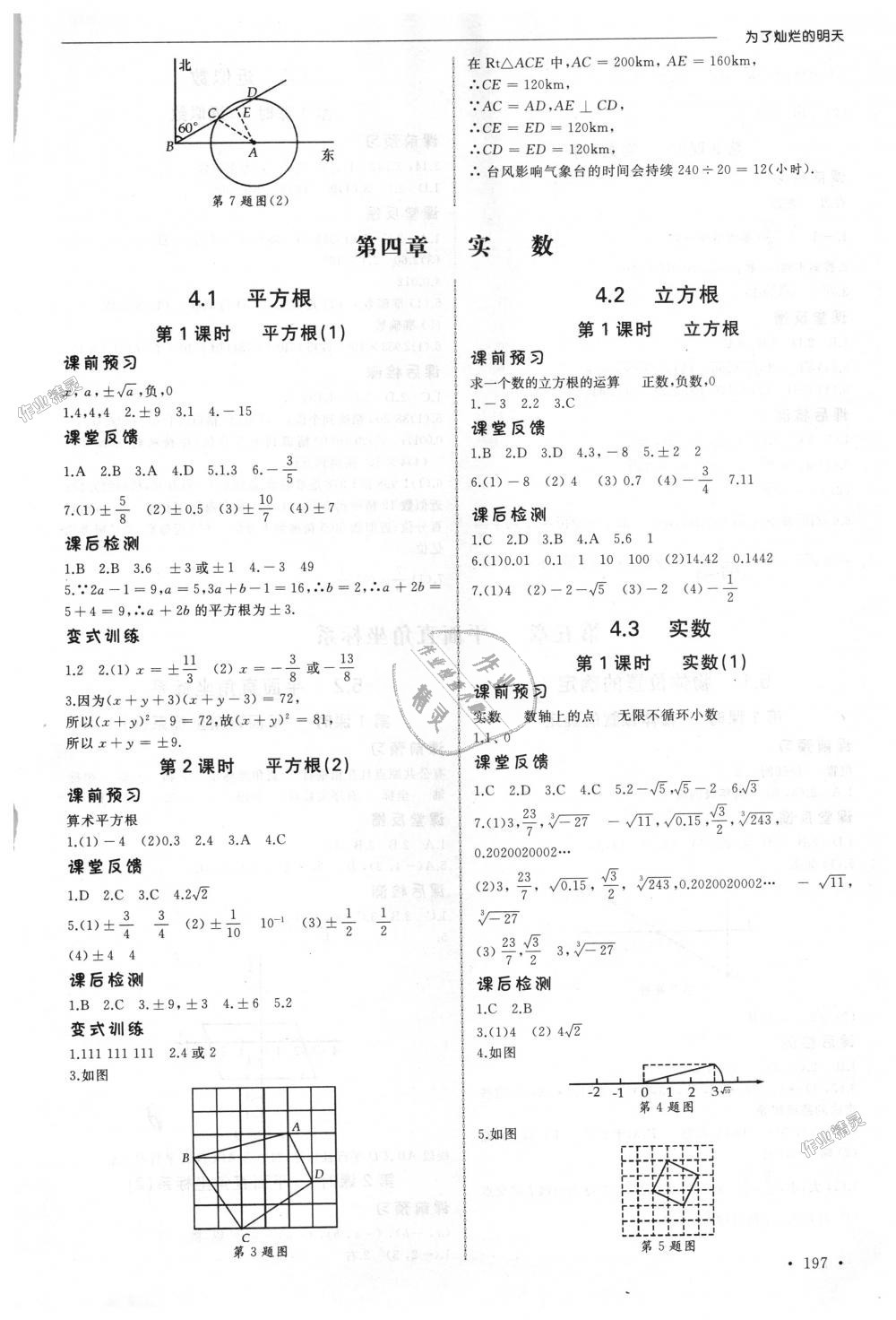 2018年為了燦爛的明天同步訓練與拓展八年級數(shù)學上冊蘇科版 第11頁