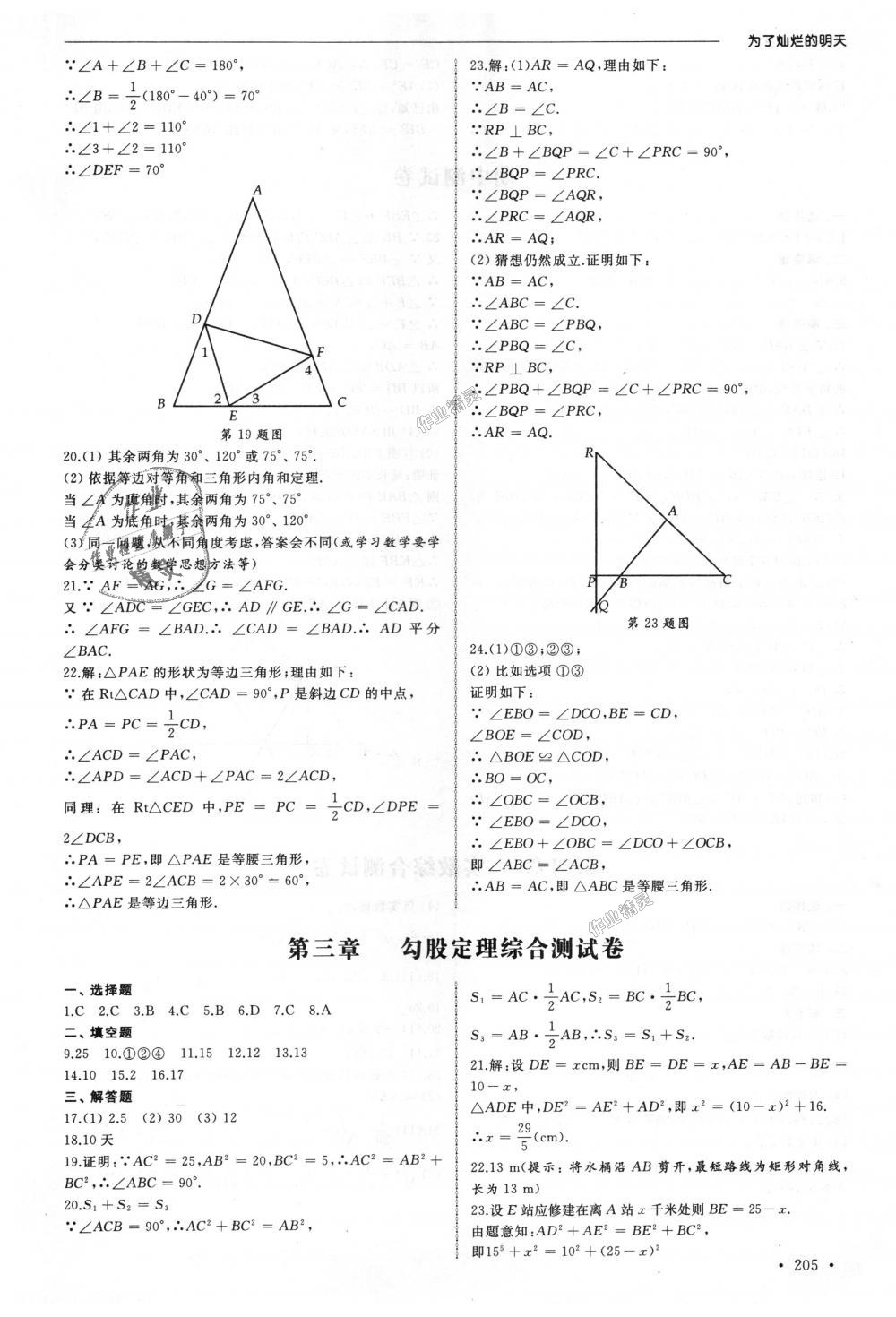 2018年為了燦爛的明天同步訓練與拓展八年級數(shù)學上冊蘇科版 第19頁