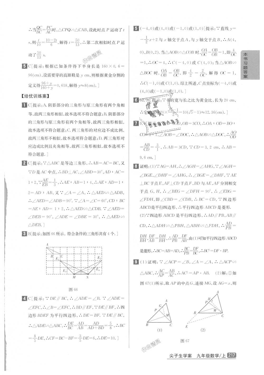 2018年尖子生學(xué)案九年級數(shù)學(xué)上冊北師大版彩繪版 第27頁