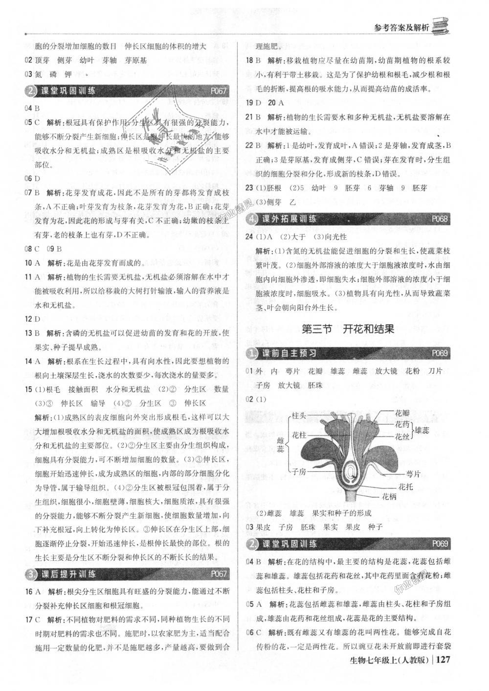 2018年1加1輕巧奪冠優(yōu)化訓(xùn)練七年級生物上冊人教版銀版 第24頁