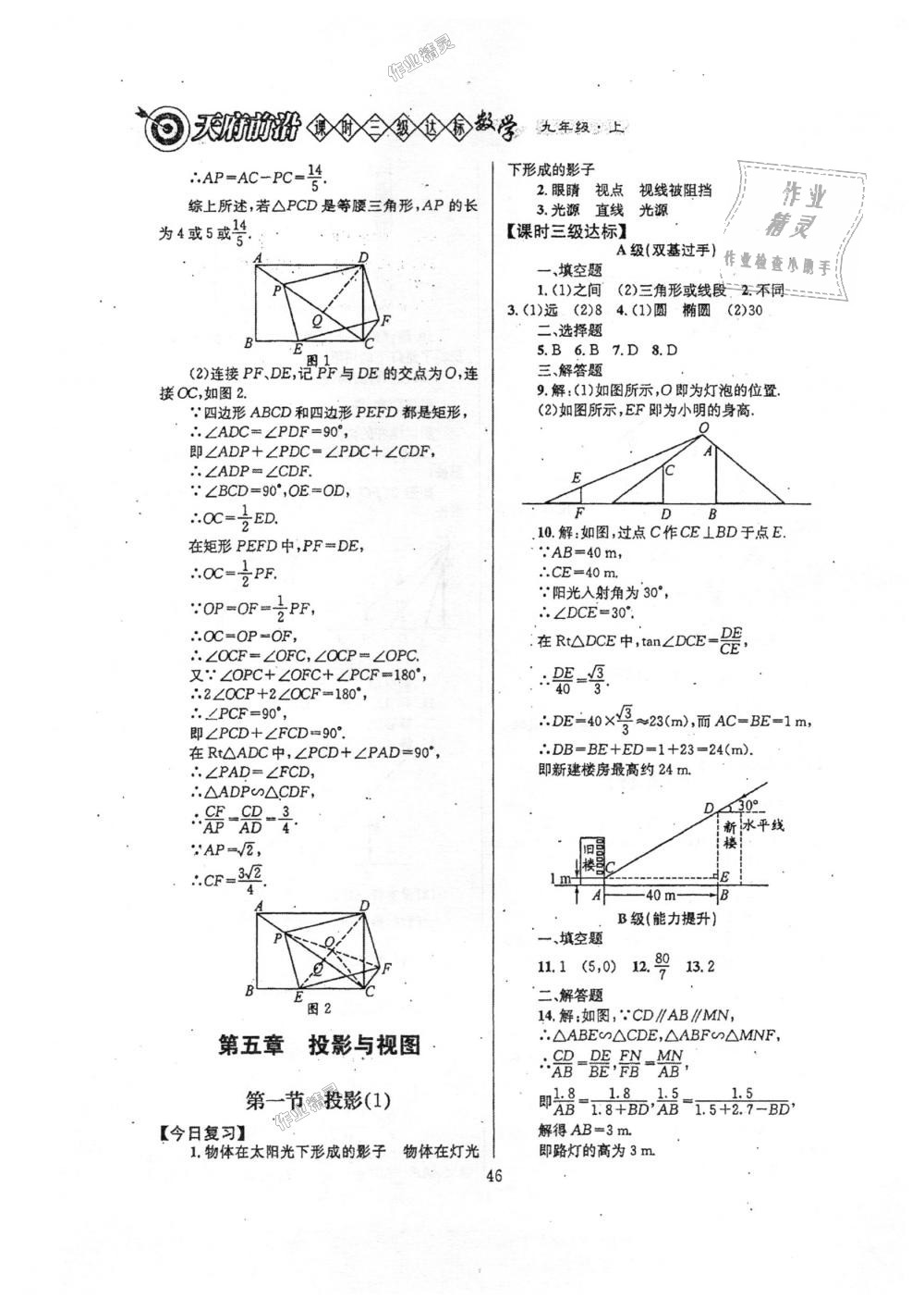 2018年天府前沿课时三级达标九年级数学上册北师大版 第46页