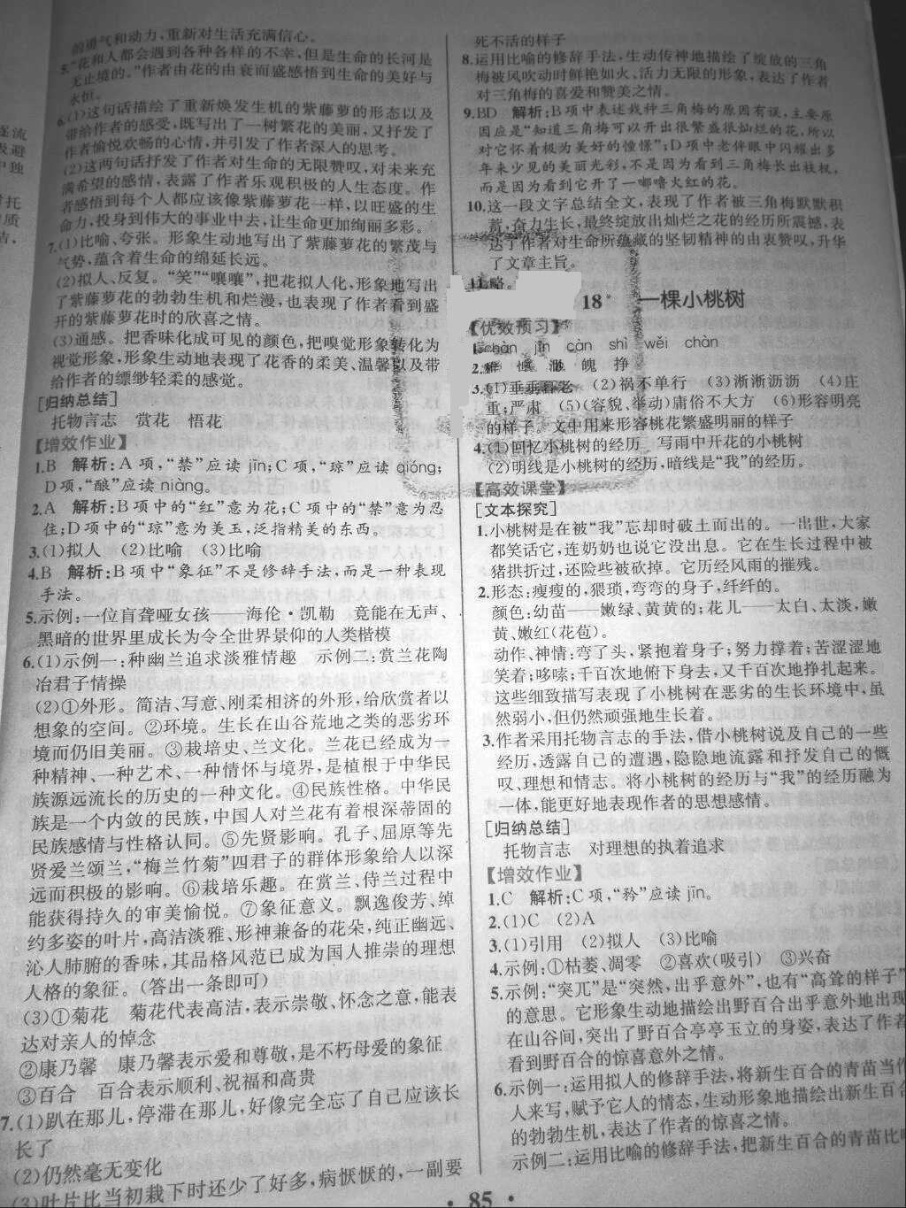 2018年人教金學(xué)典同步解析與測(cè)評(píng)七年級(jí)語(yǔ)文下冊(cè)人教版重慶專 版 第11頁(yè)