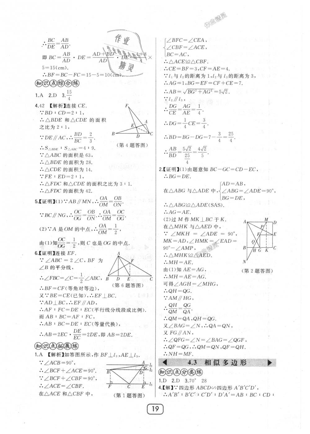 2018年北大绿卡九年级数学上册北师大版 第19页