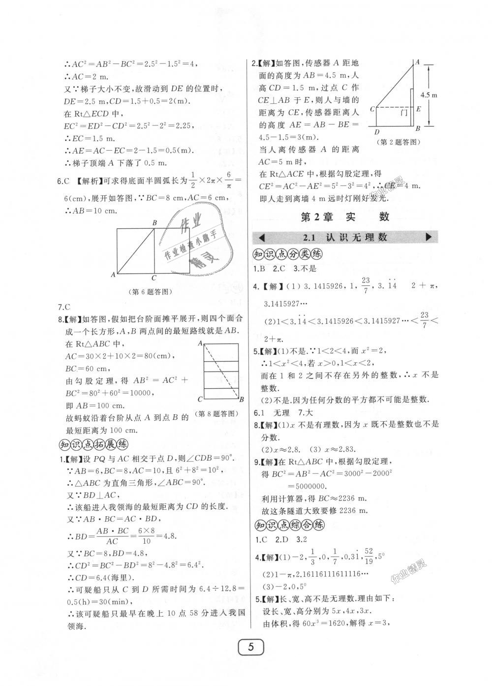 2018年北大绿卡八年级数学上册北师大版 第5页