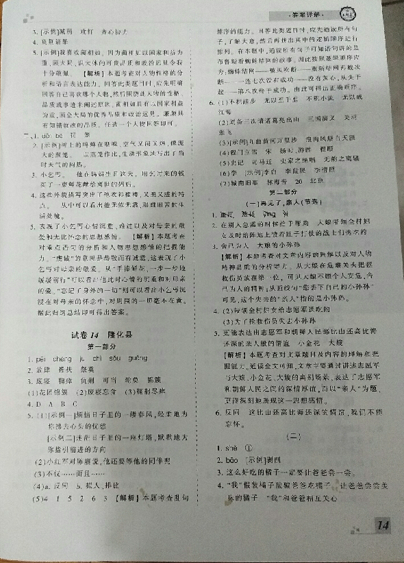 2018年王朝霞各地期末試卷精選五年級(jí)語文下冊(cè)人教版河北專版 第14頁