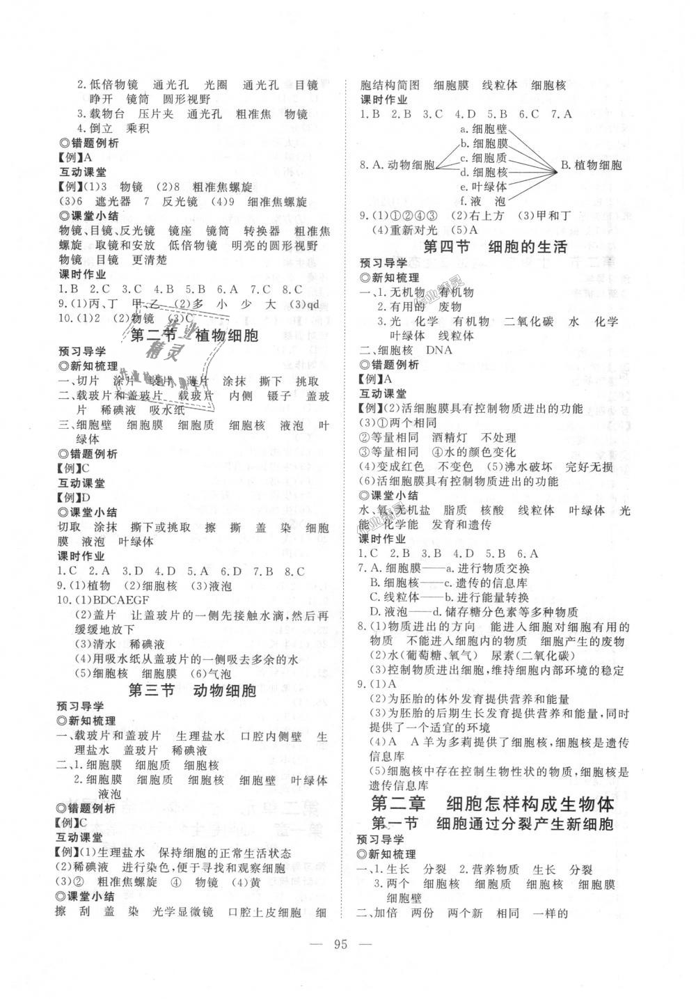 2018年351高效课堂导学案七年级生物上册人教版 第3页